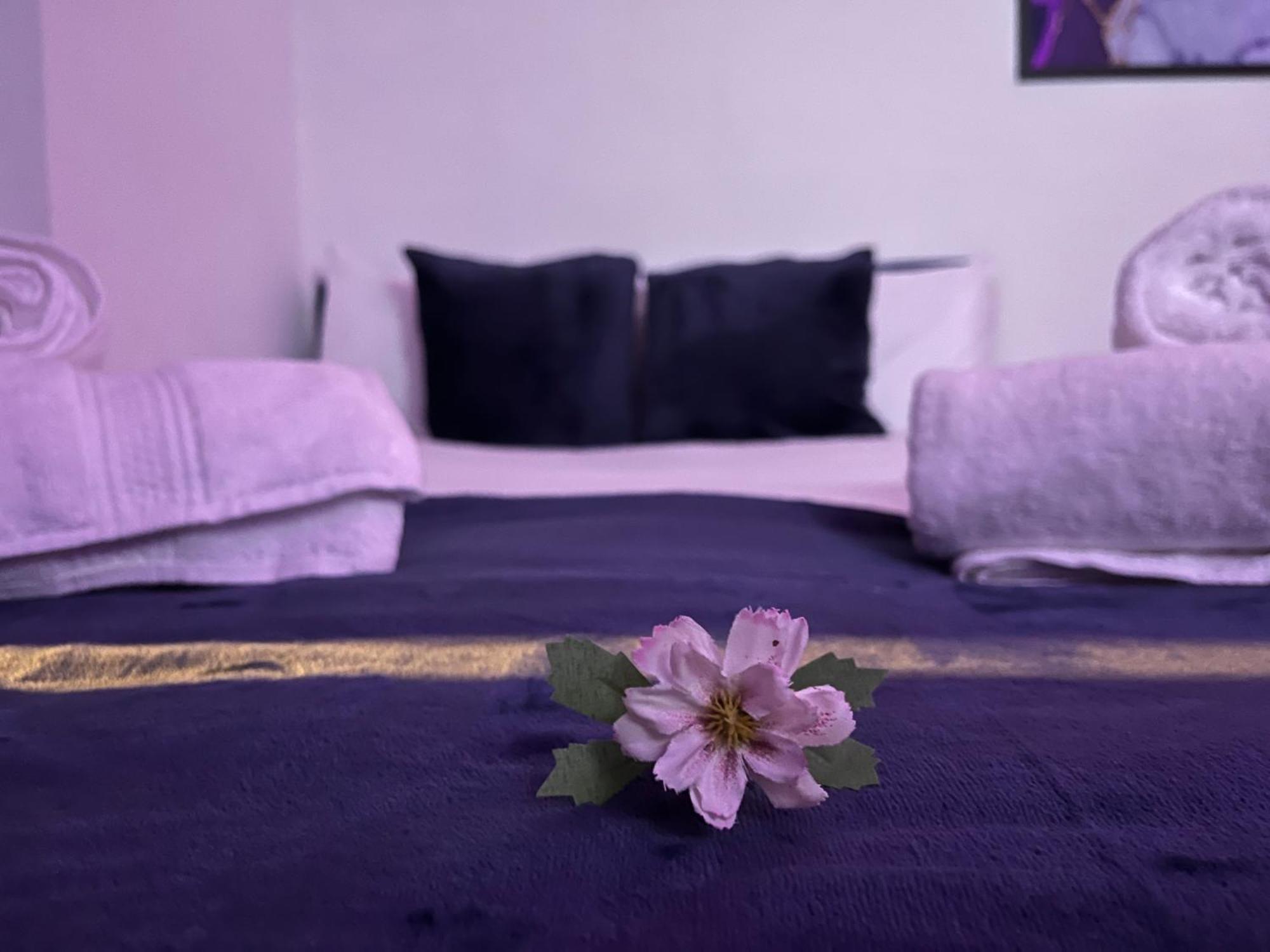 Apartment In Camden, Central Location London Ngoại thất bức ảnh